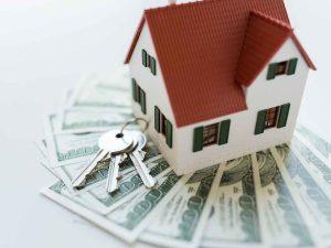 signing_agent_near_me_cape_coral_florida